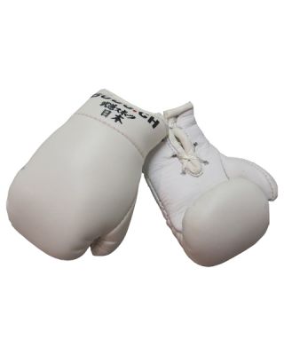 Mini gants de boxe [Budo.ch]