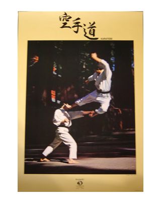 Karate Sprung [84x60cm]